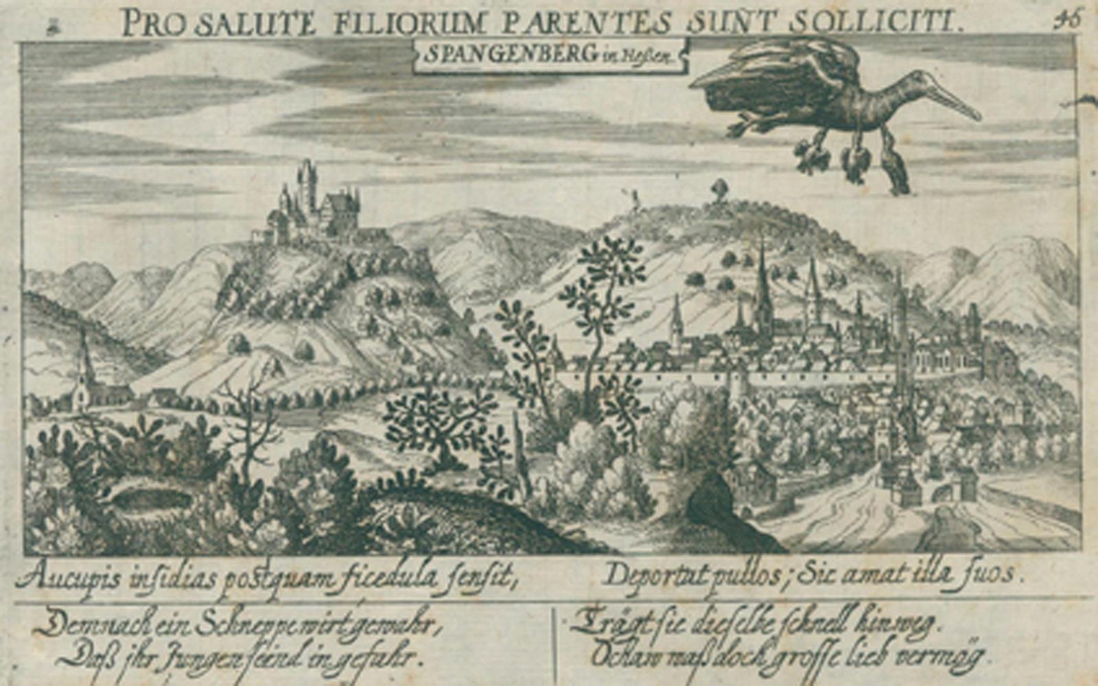 Meisner. | Bild Nr.23