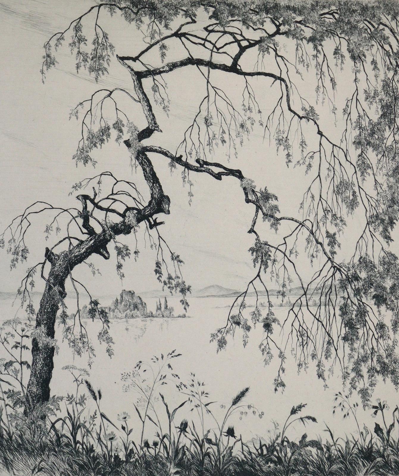 Sammlung | Bild Nr.11