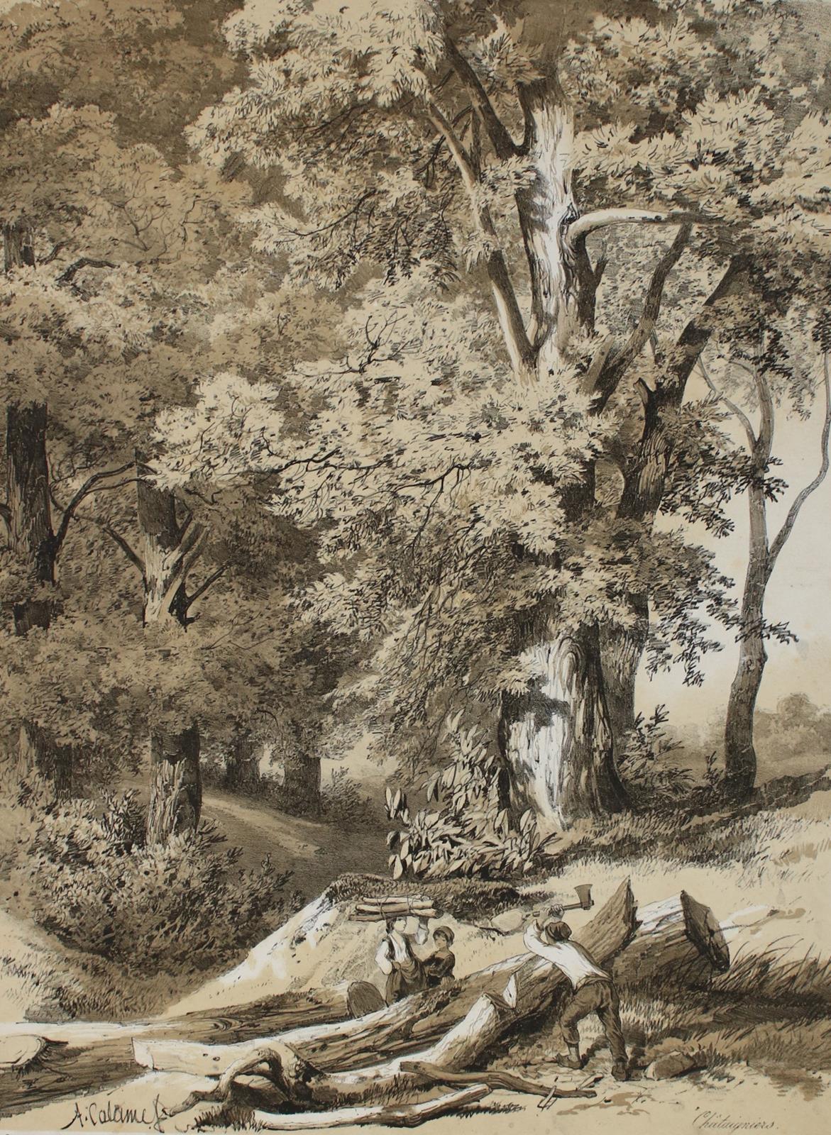 Calame, Alexandre | Bild Nr.2