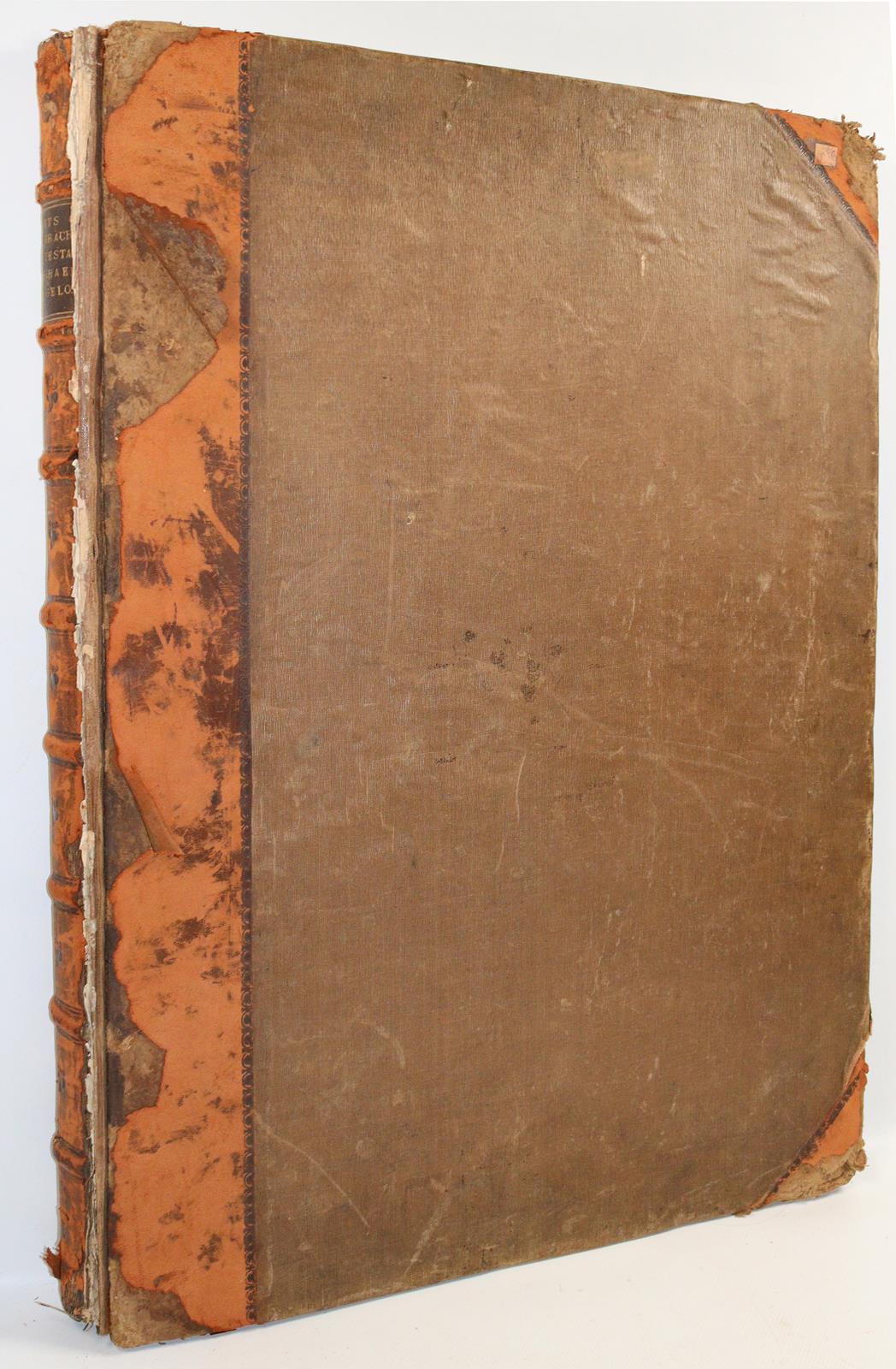 Carracci, Annibale | Bild Nr.2