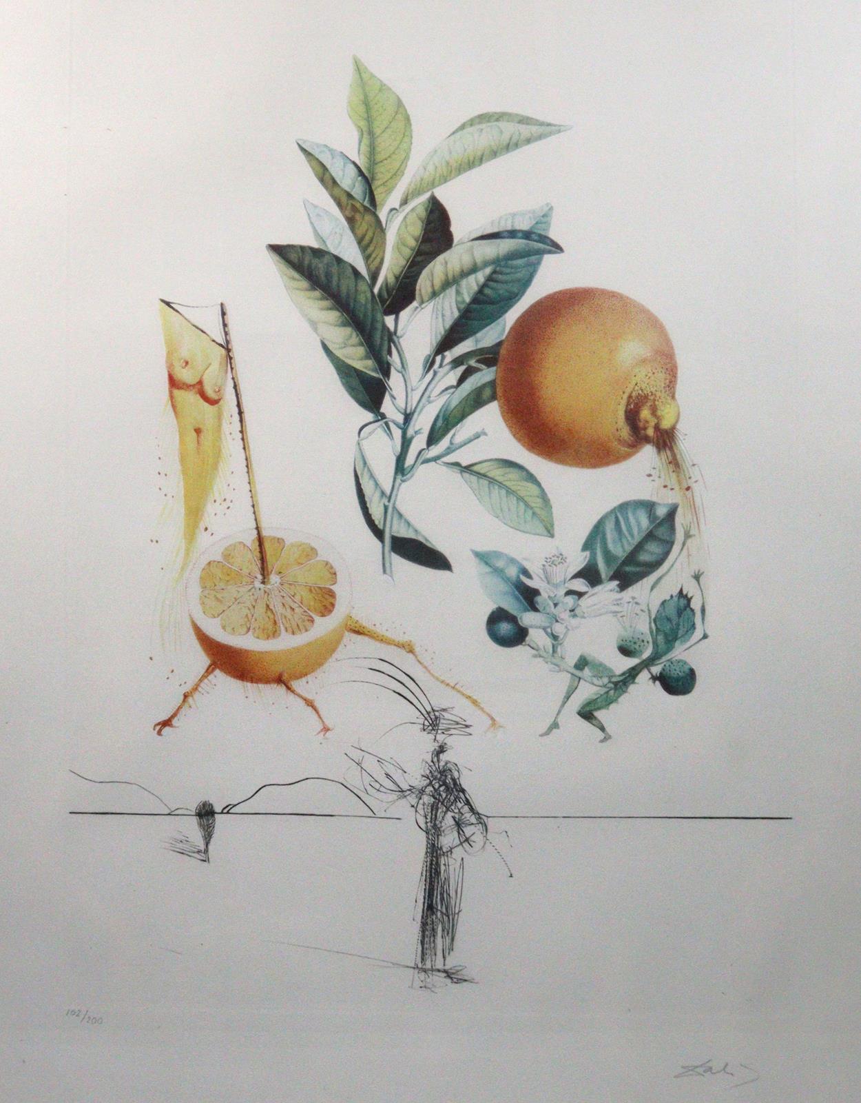 Dali, Salvador | Bild Nr.1