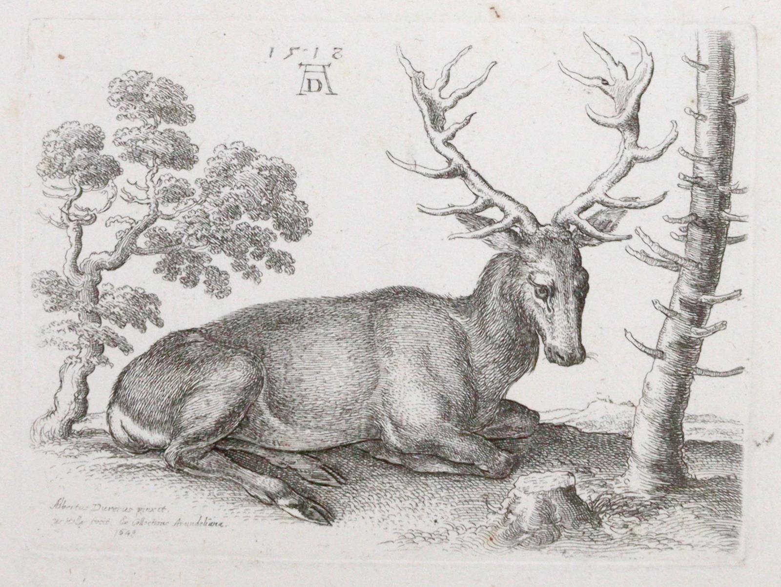 Hollar, Wenzel | Bild Nr.1