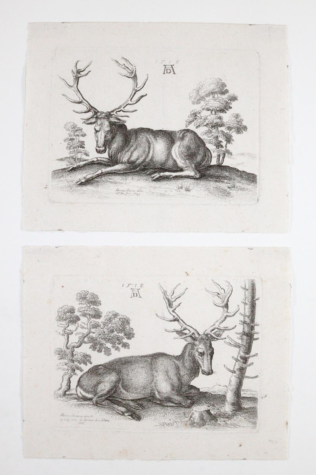 Hollar, Wenzel | Bild Nr.2