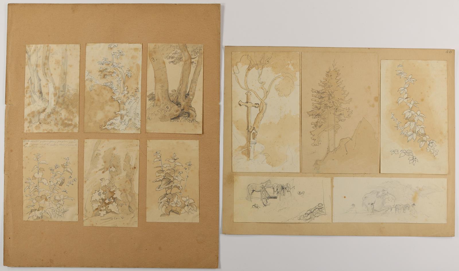 Erxleben, August | Bild Nr.4