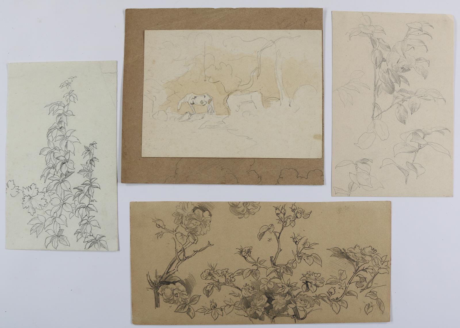 Erxleben, August | Bild Nr.6