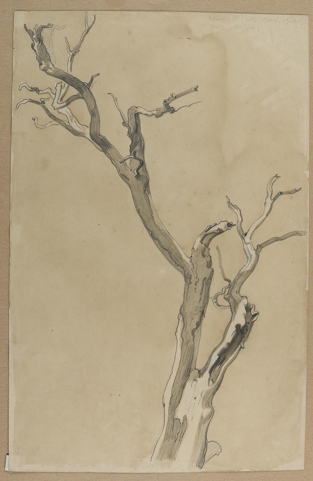 Erxleben, August | Bild Nr.10