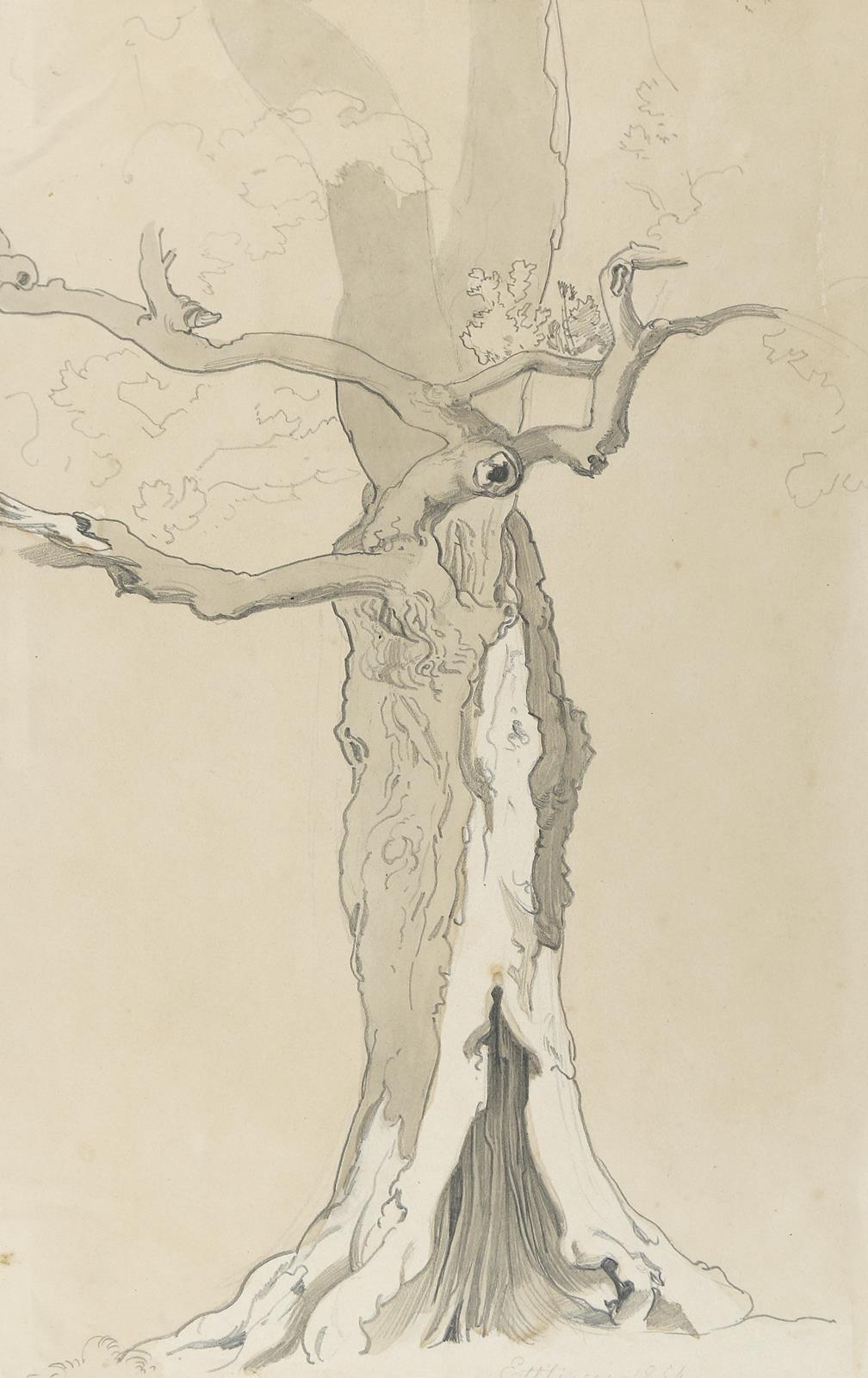 Erxleben, August | Bild Nr.11