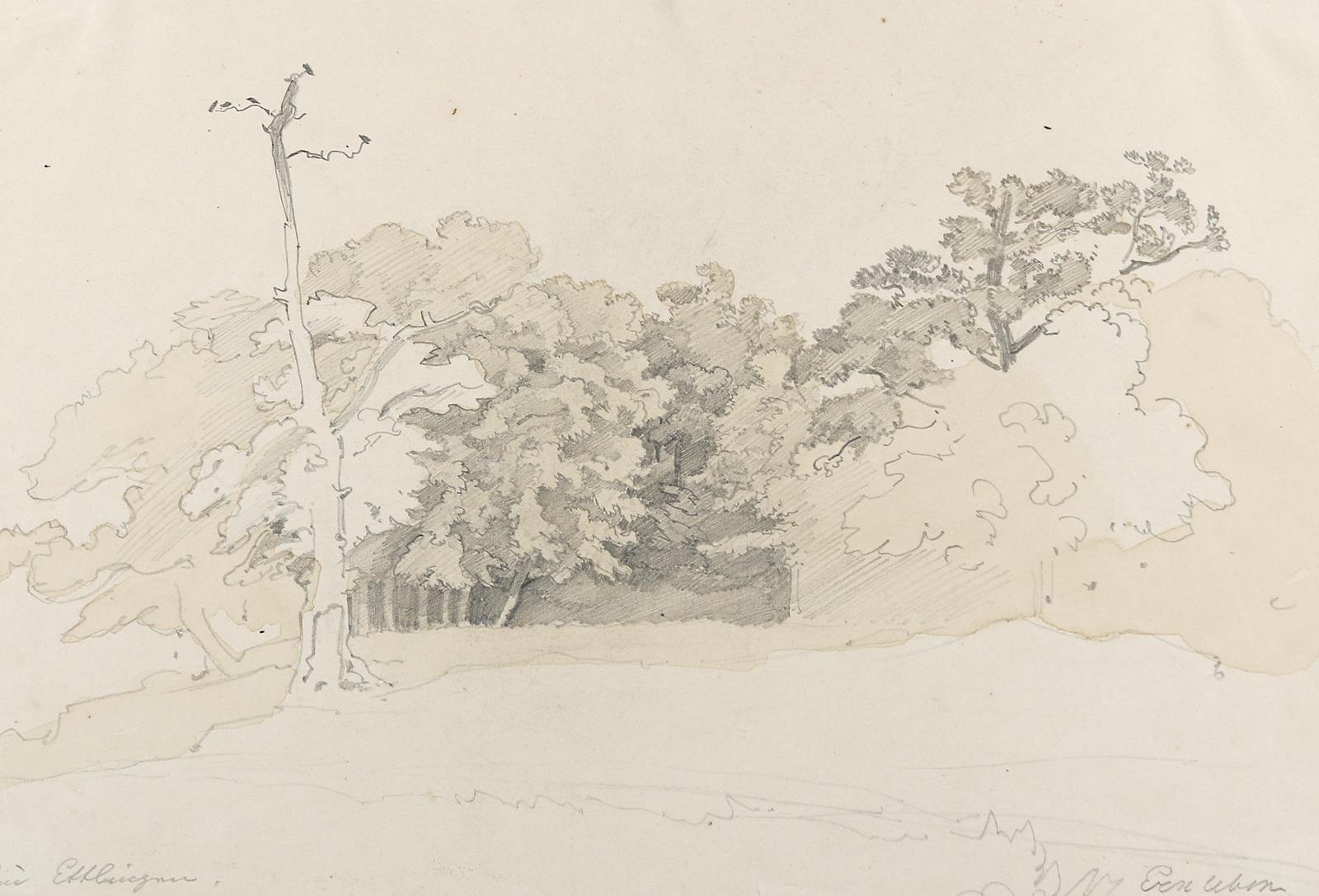 Erxleben, August | Bild Nr.12