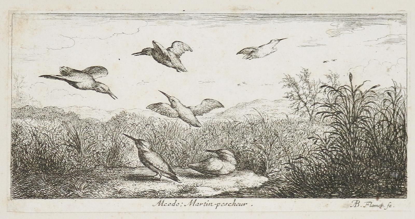 Flamen,Albert | Bild Nr.1