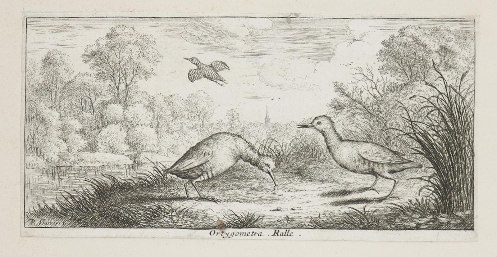 Flamen,Albert | Bild Nr.2