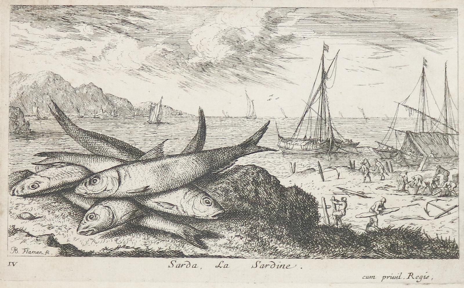 Flamen,Albert | Bild Nr.1