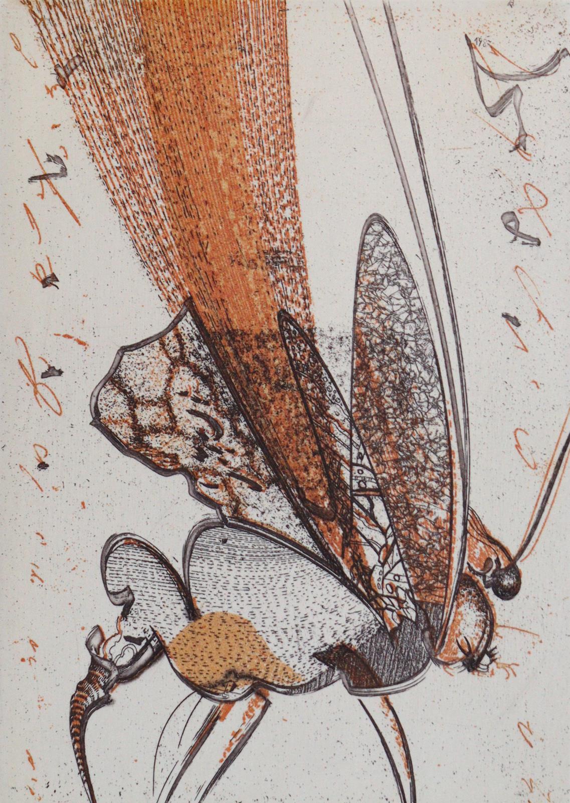 Graphische Kunst. | Bild Nr.2