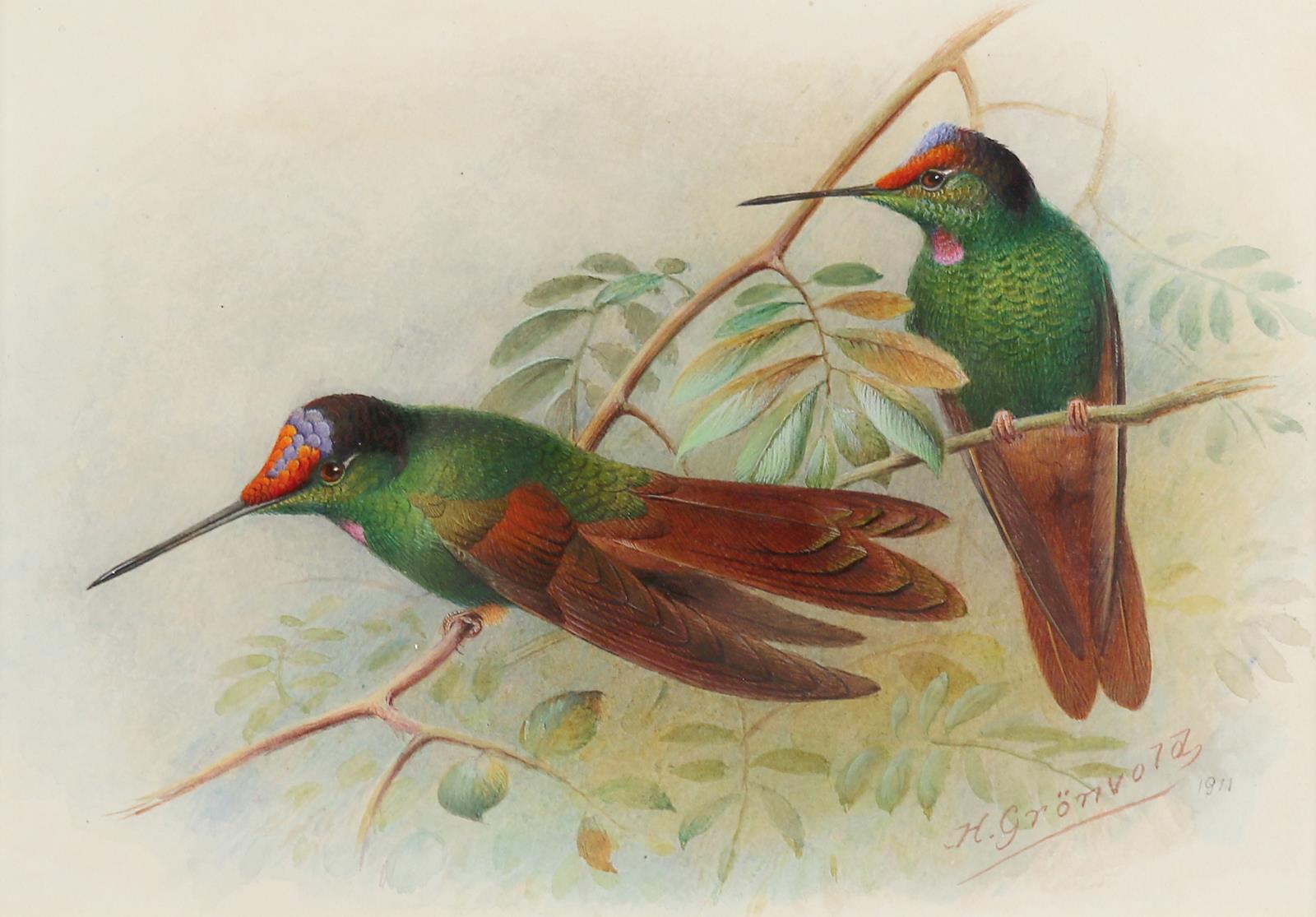 Grönvold, Henrik | Bild Nr.1