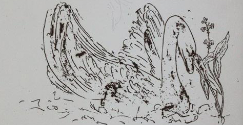 Hafner, Jonas | Bild Nr.1