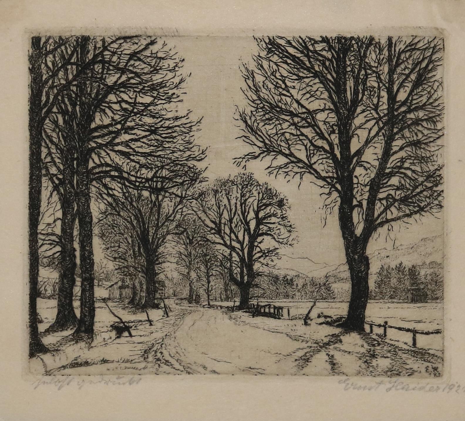 Haider, Ernst | Bild Nr.2