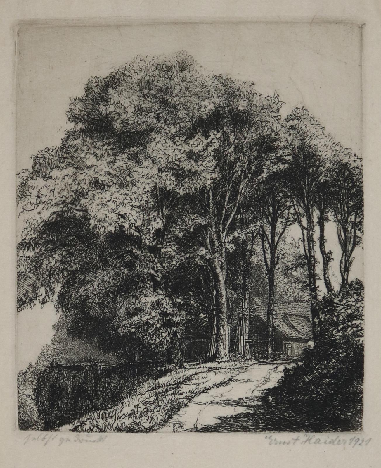 Haider, Ernst | Bild Nr.5