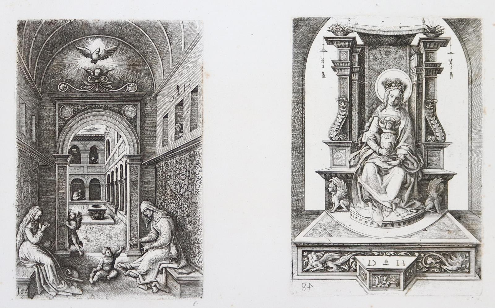 Hopfer. | Bild Nr.17