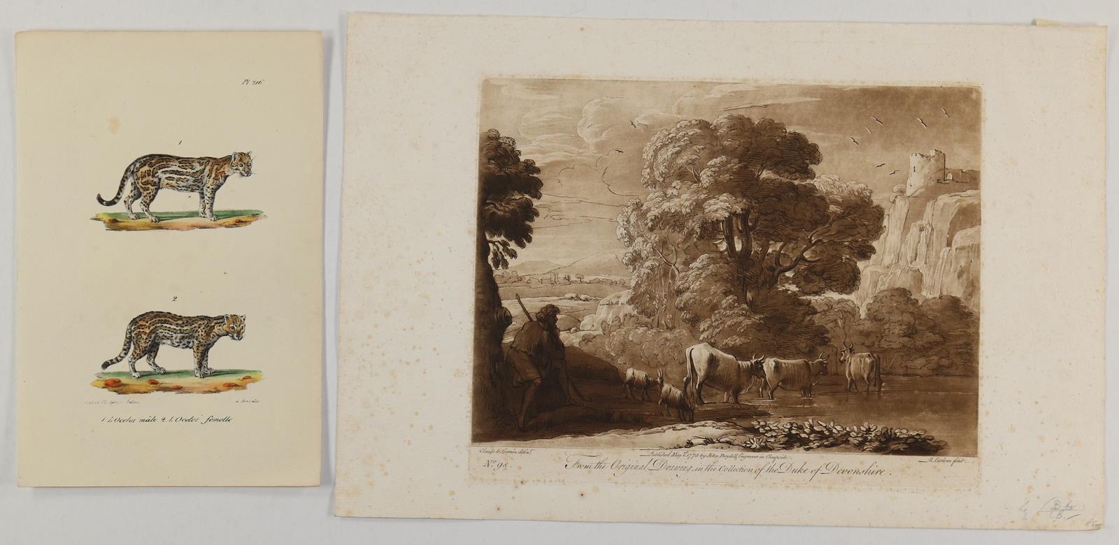 Konvolut. | Bild Nr.5