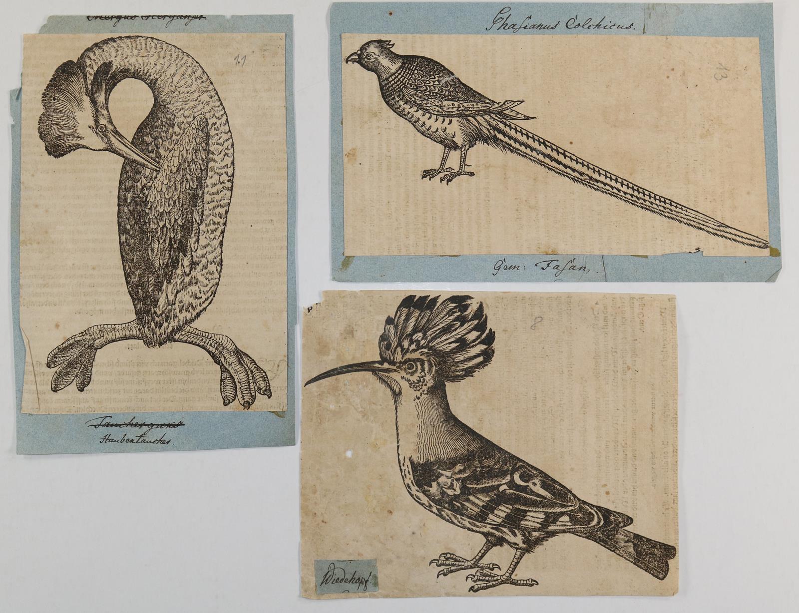 Konvolut. | Bild Nr.6