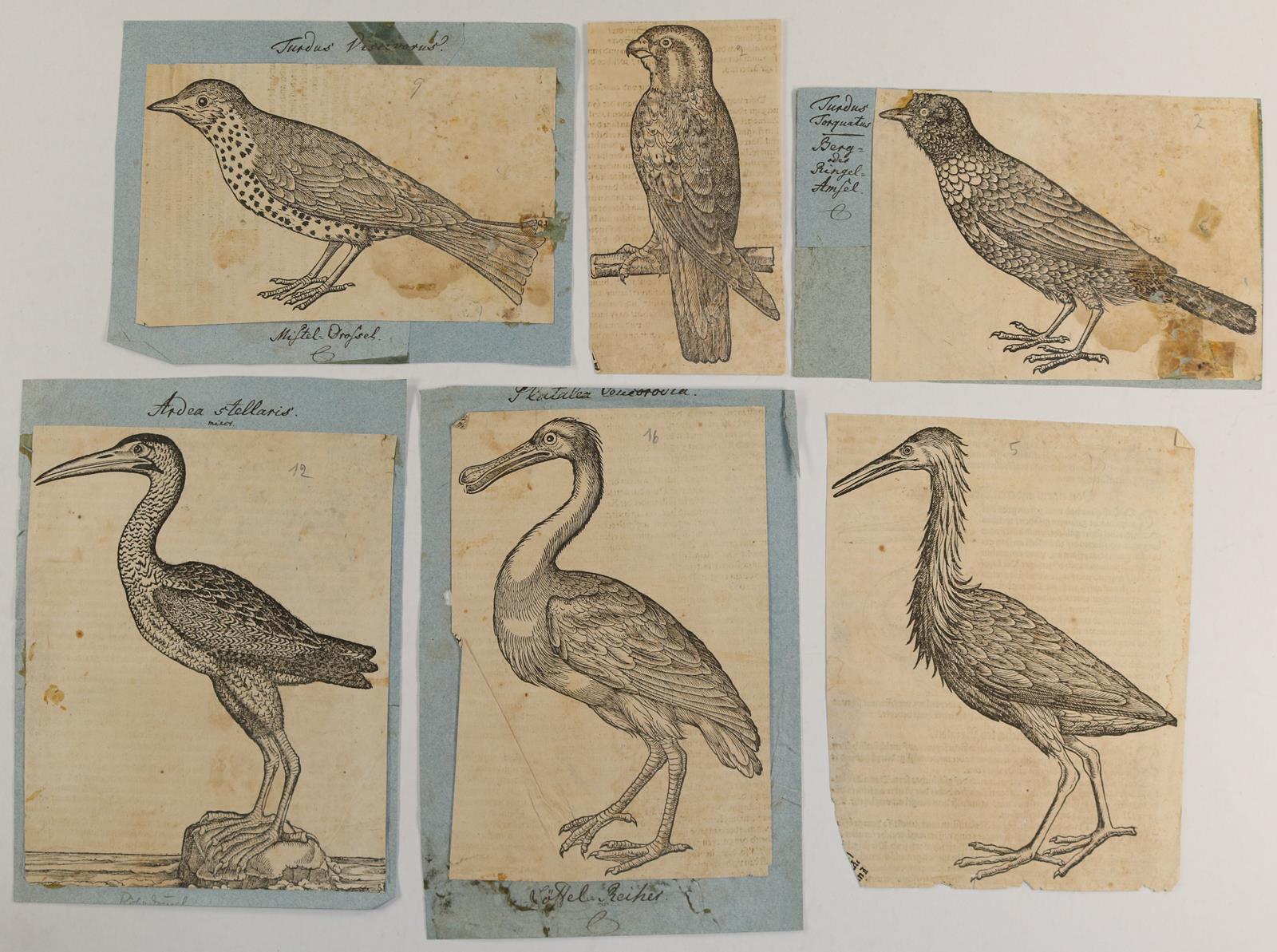 Konvolut. | Bild Nr.8