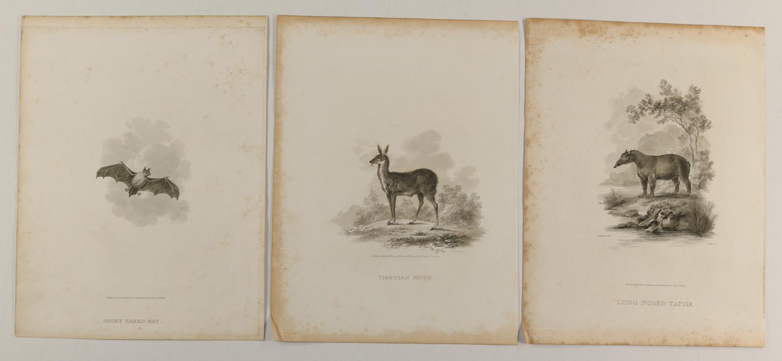 Konvolut. | Bild Nr.9