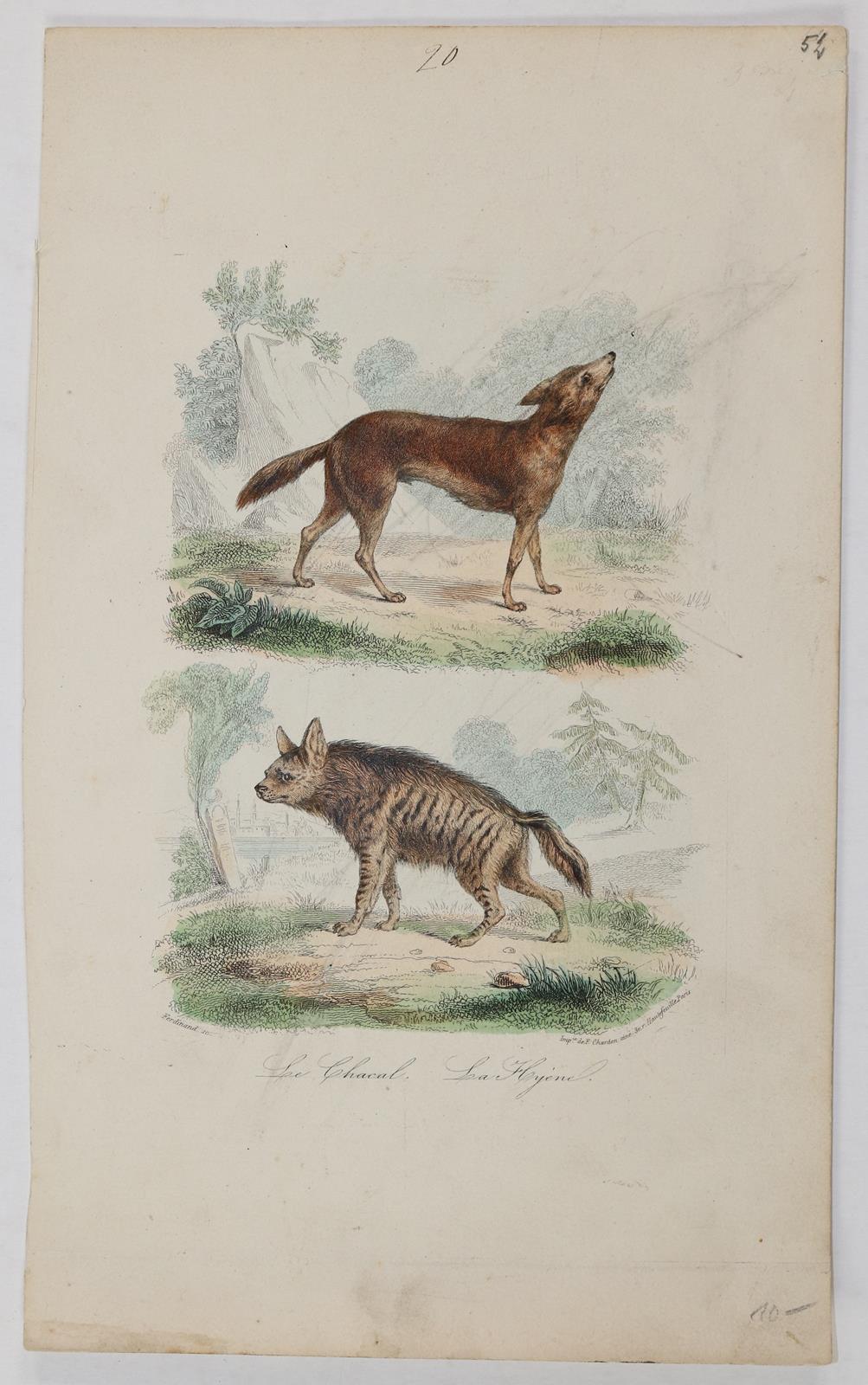 Konvolut. | Bild Nr.10