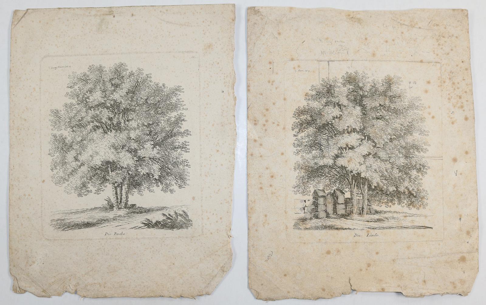 Konvolut. | Bild Nr.11