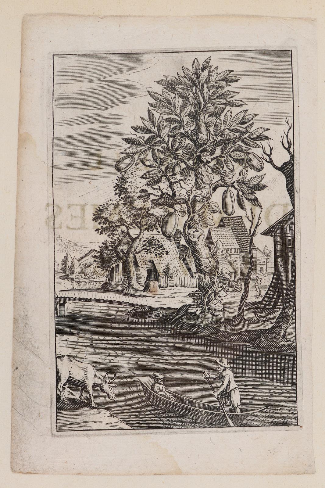 Konvolut | Bild Nr.7