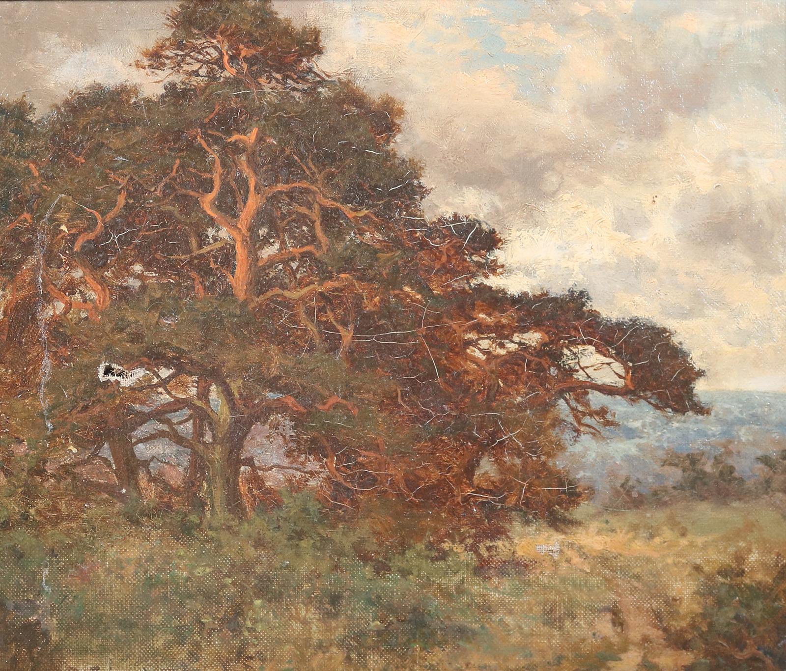 Konvolut | Bild Nr.7