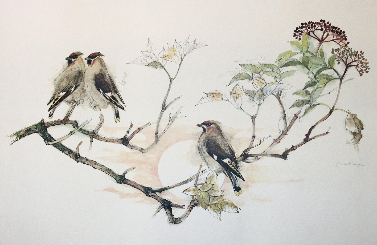 Konvolut | Bild Nr.10