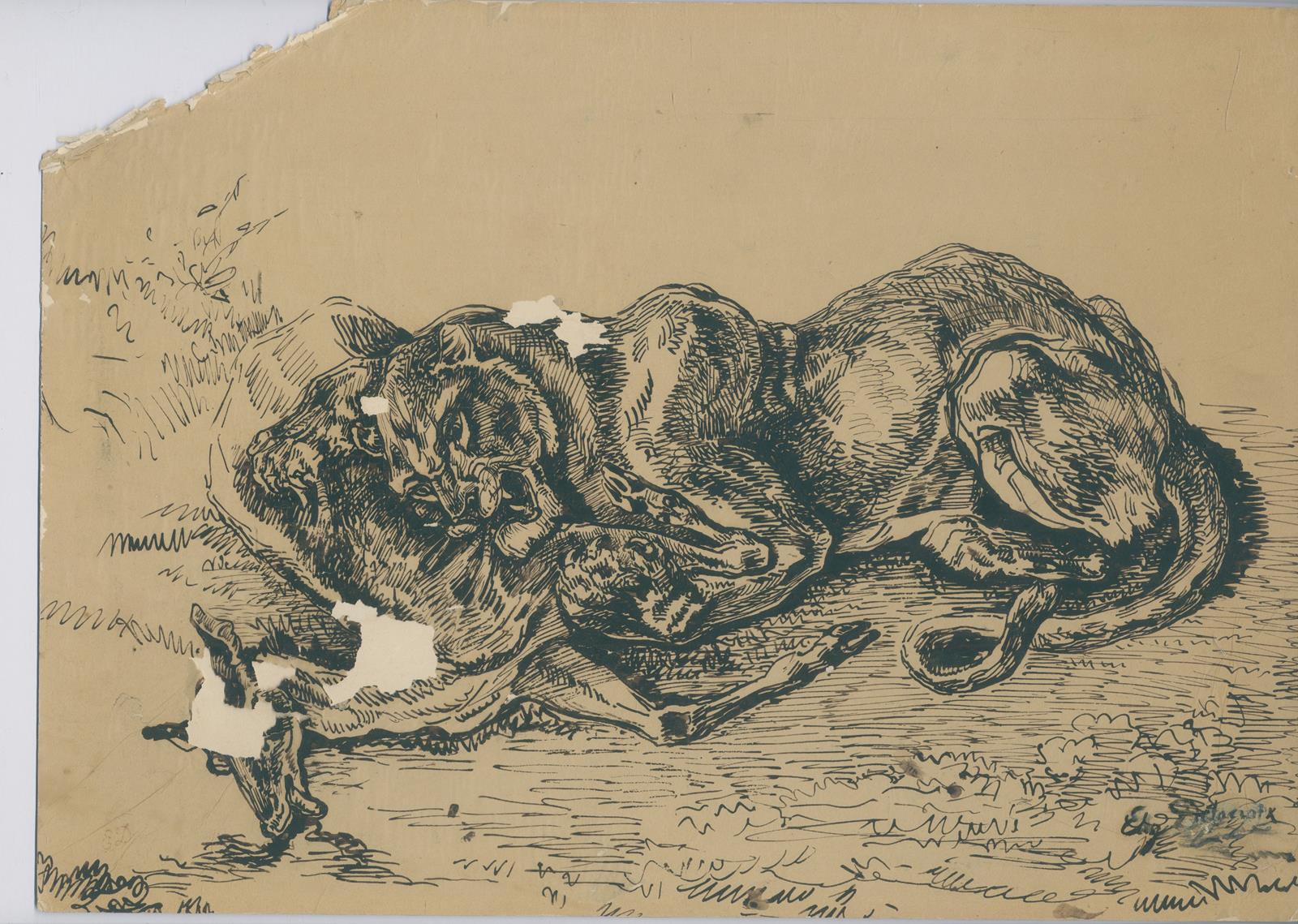 Konvolut | Bild Nr.5