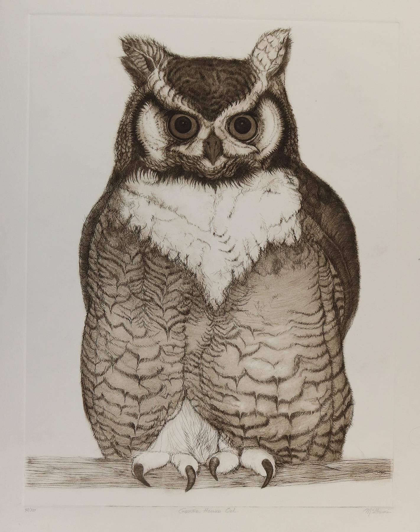 McGinnis | Bild Nr.1