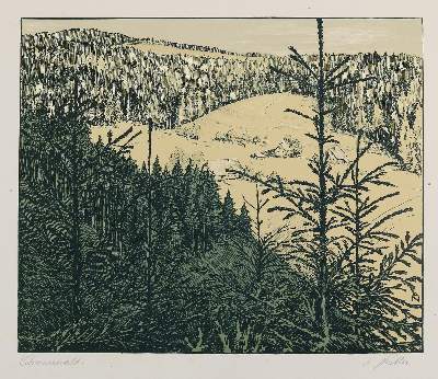 Nestler, Auguste | Bild Nr.1