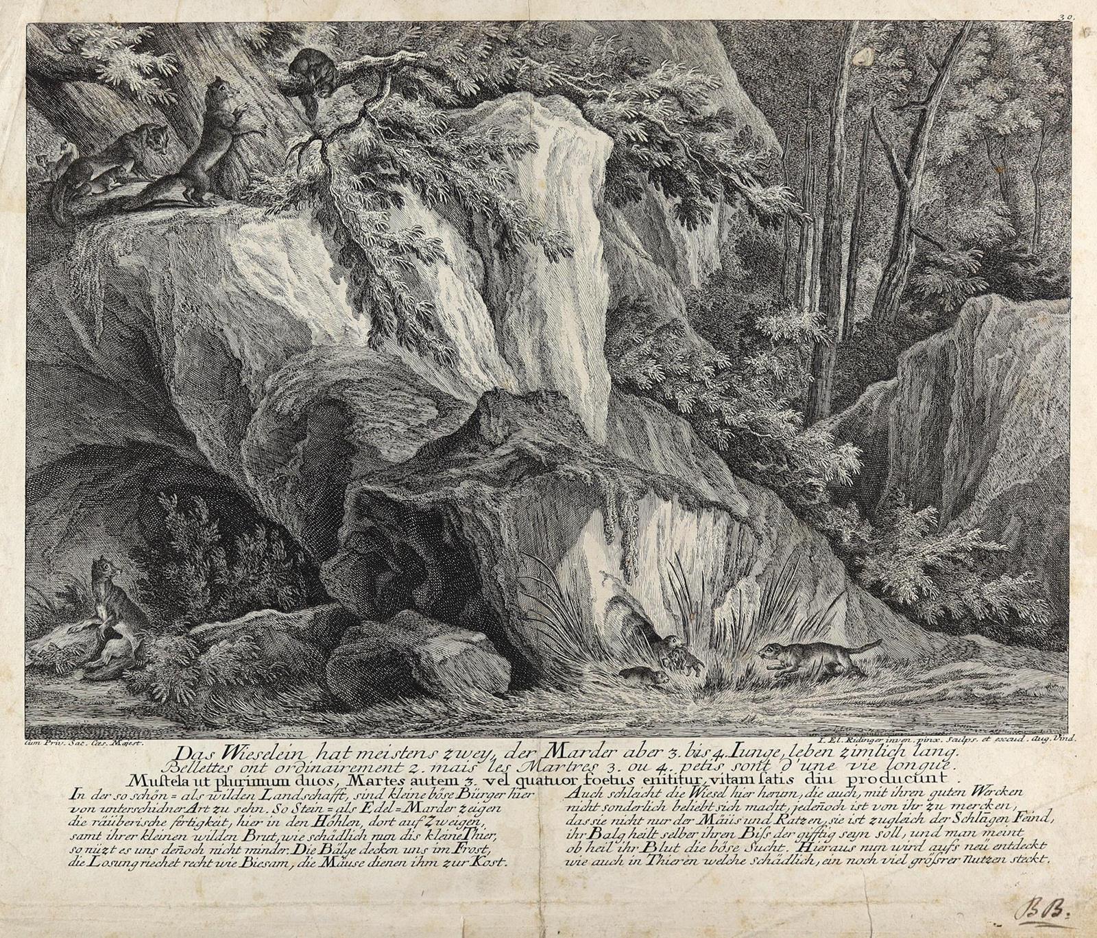 Ridinger, Johann Elias | Bild Nr.2