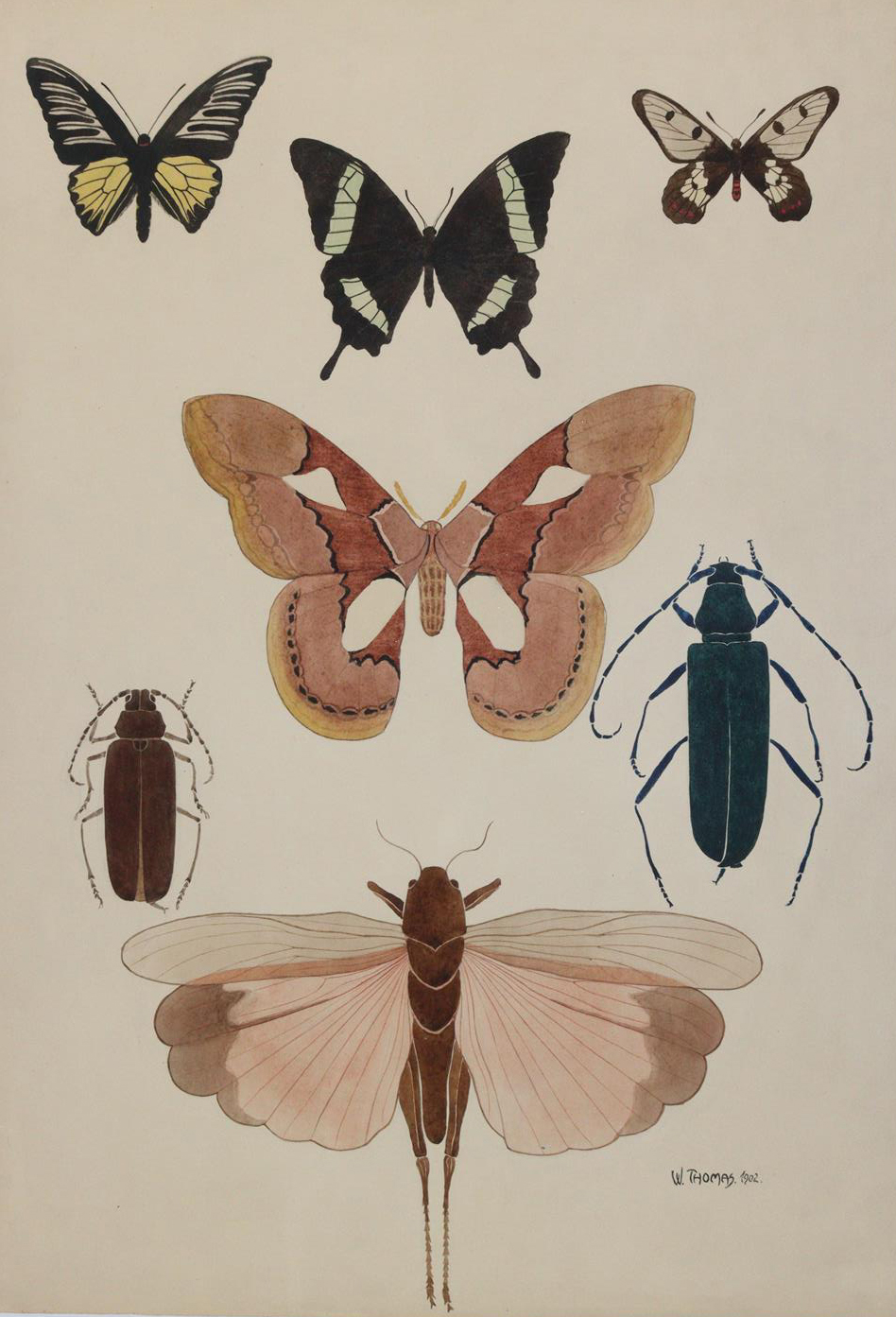 Rückgänge | Bild Nr.1