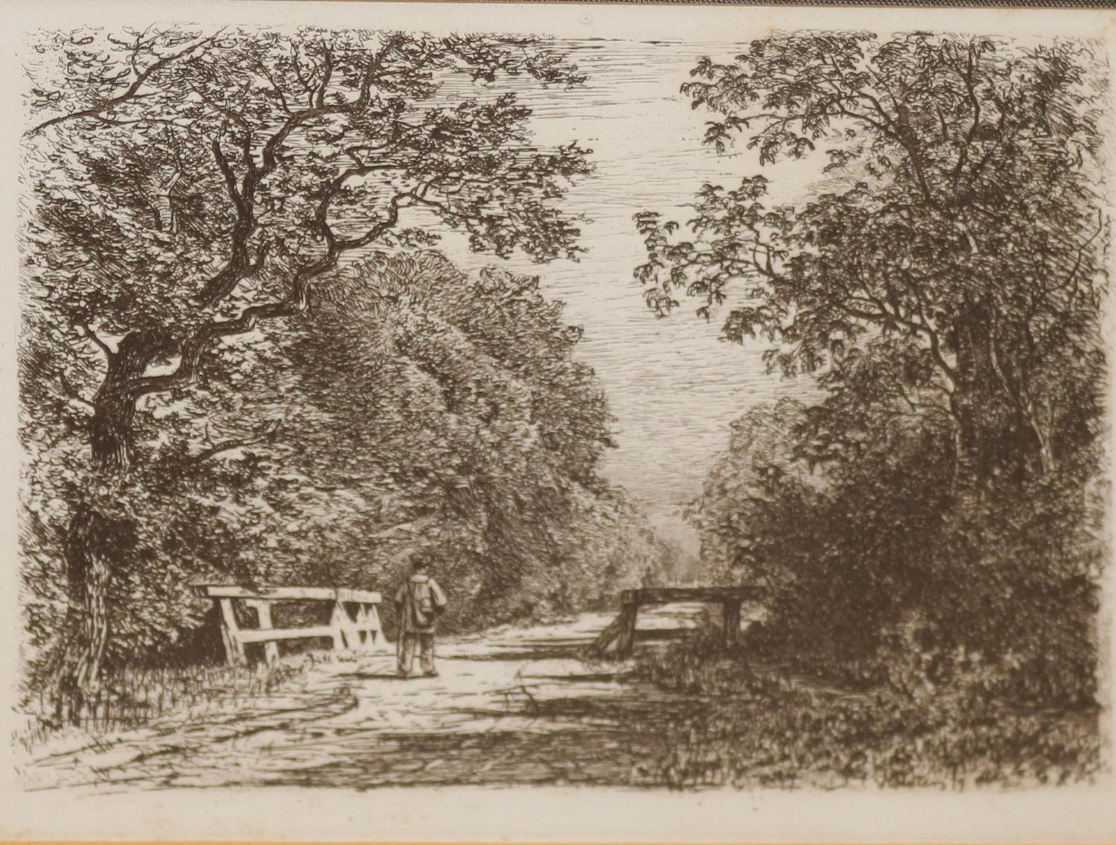 Sammlung | Bild Nr.15