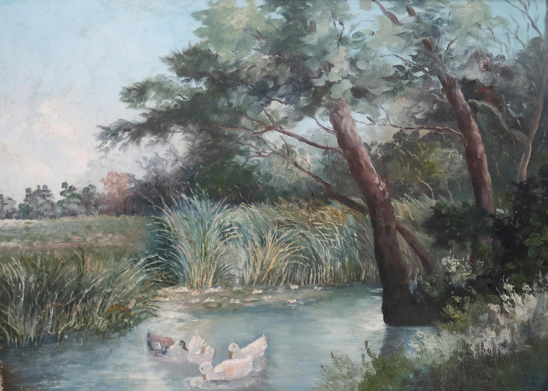 Schrader, W. | Bild Nr.1