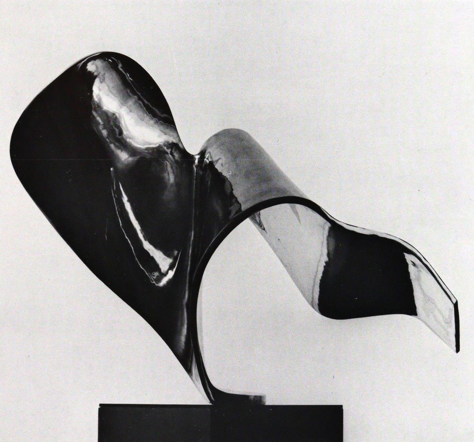 Hirsch, Albert | Bild Nr.13