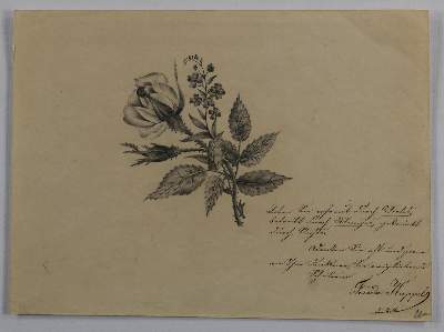 Spitzweg-Umkreis. | Bild Nr.2