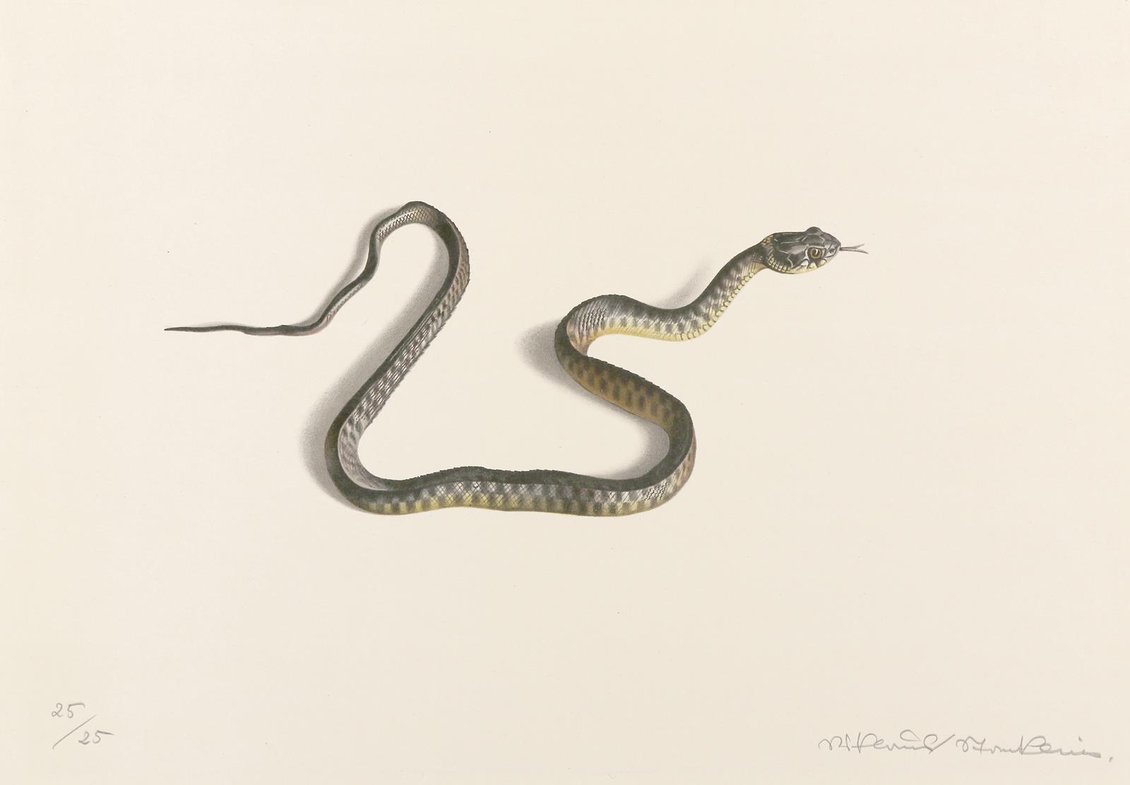 Stoecklin, Niklaus | Bild Nr.1