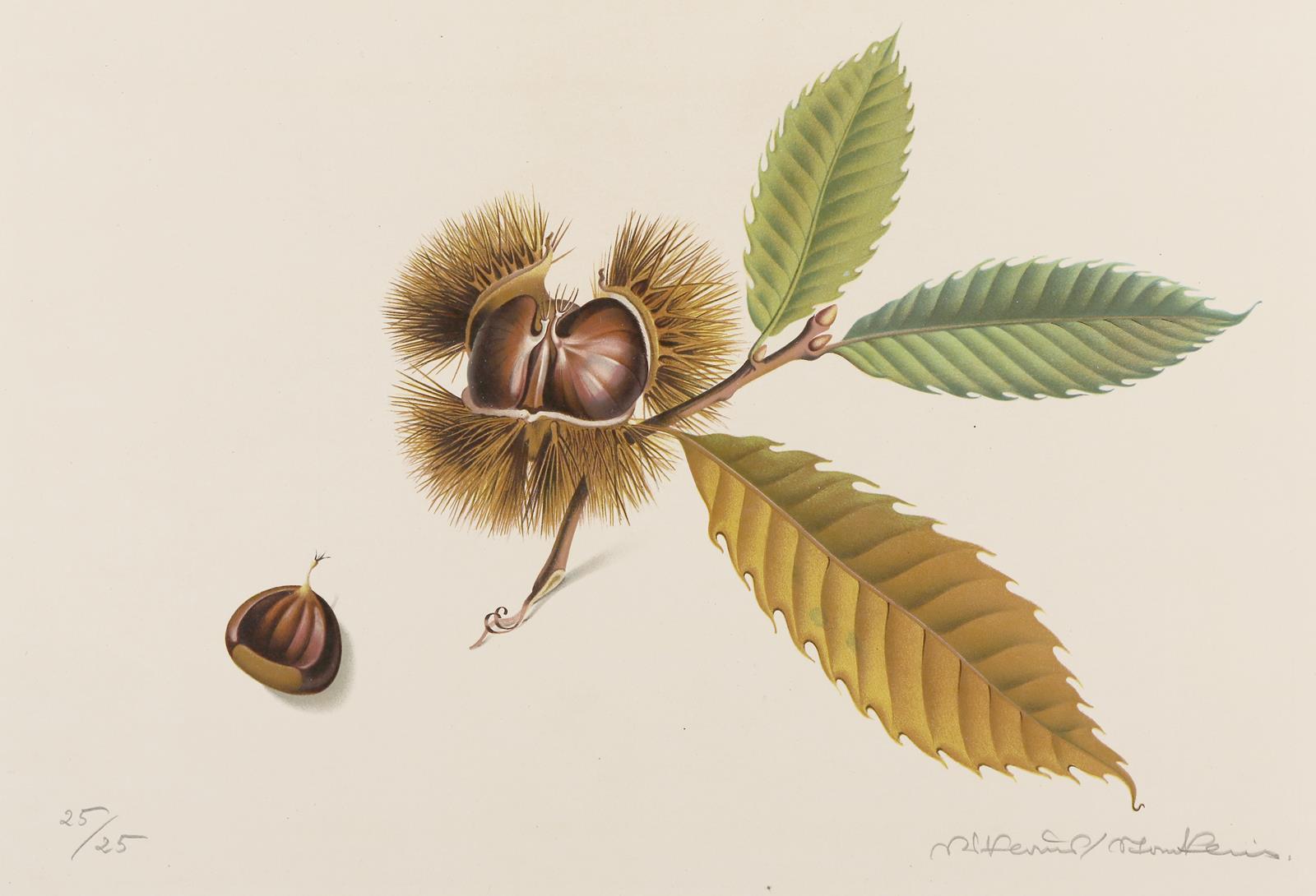 Stoecklin, Niklaus | Bild Nr.2