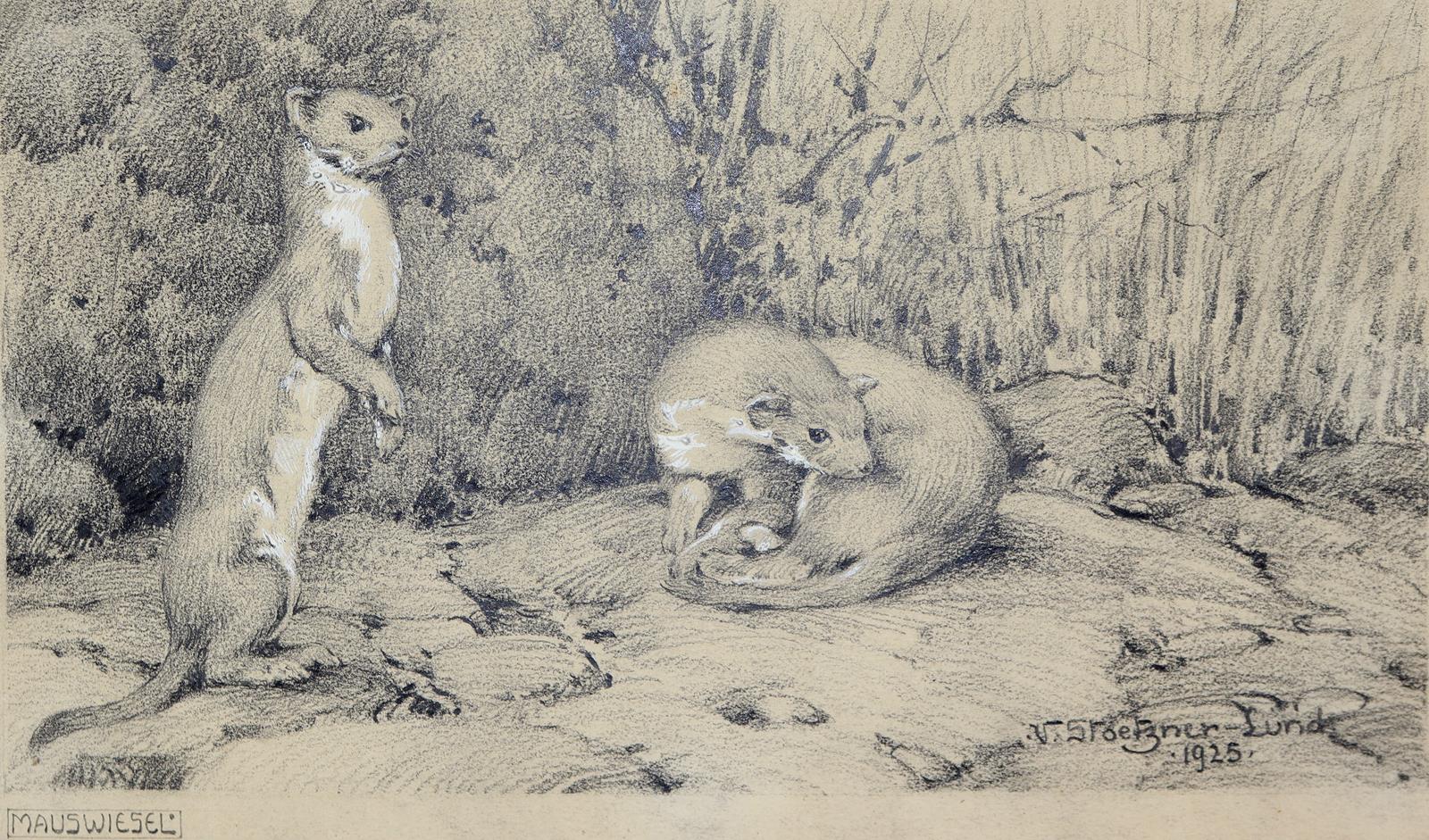 Stoetzner-Lund, Victor | Bild Nr.1