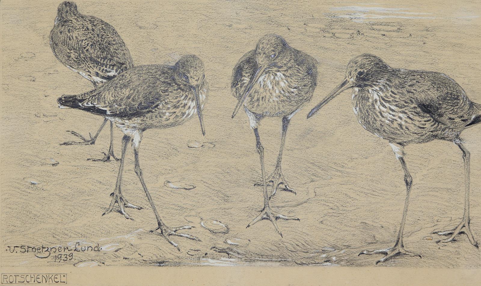 Stoetzner-Lund, Victor | Bild Nr.1