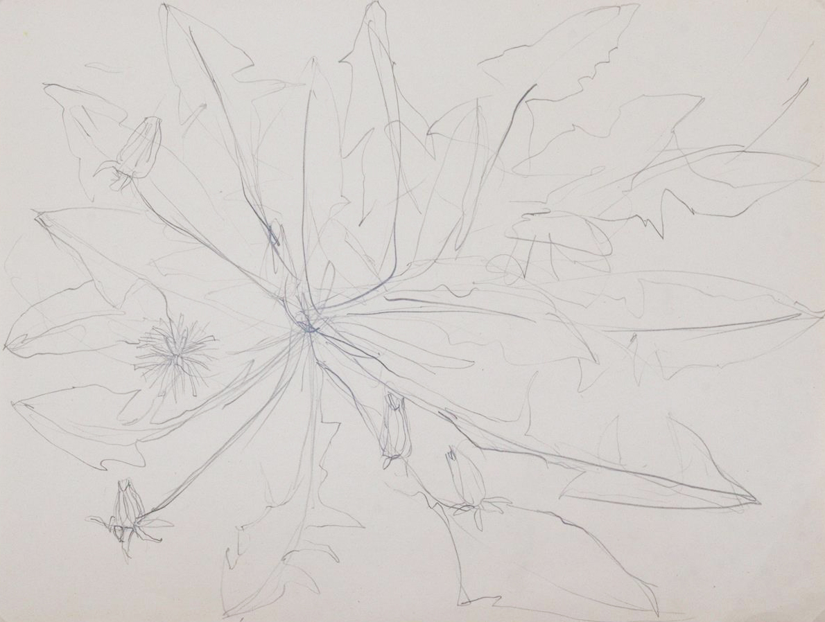 Tucholsky, Barbara Camilla | Bild Nr.1