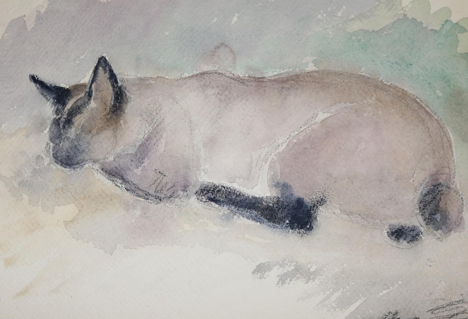 Vinnai, Eugen | Bild Nr.1