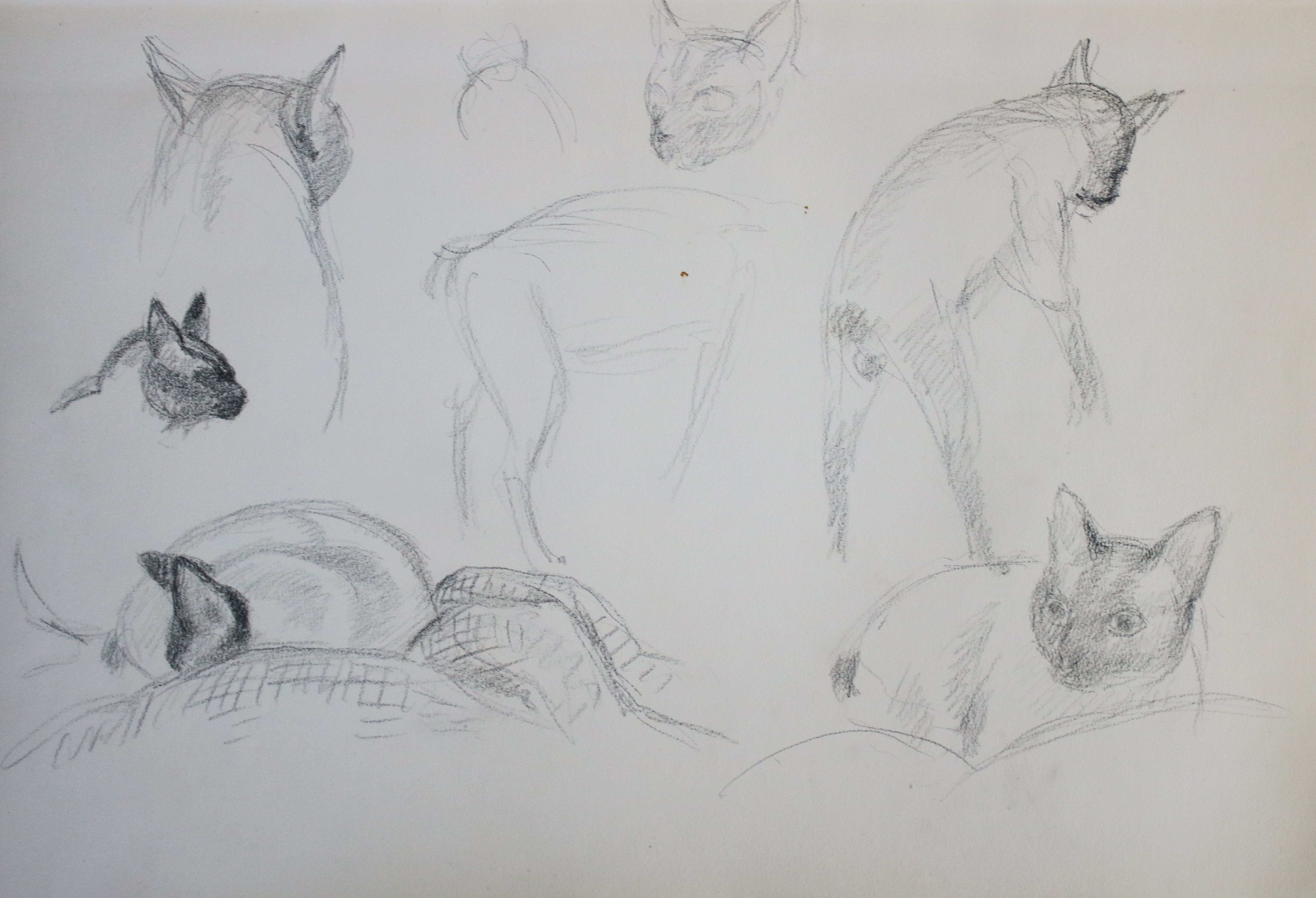 Vinnai, Eugen | Bild Nr.6