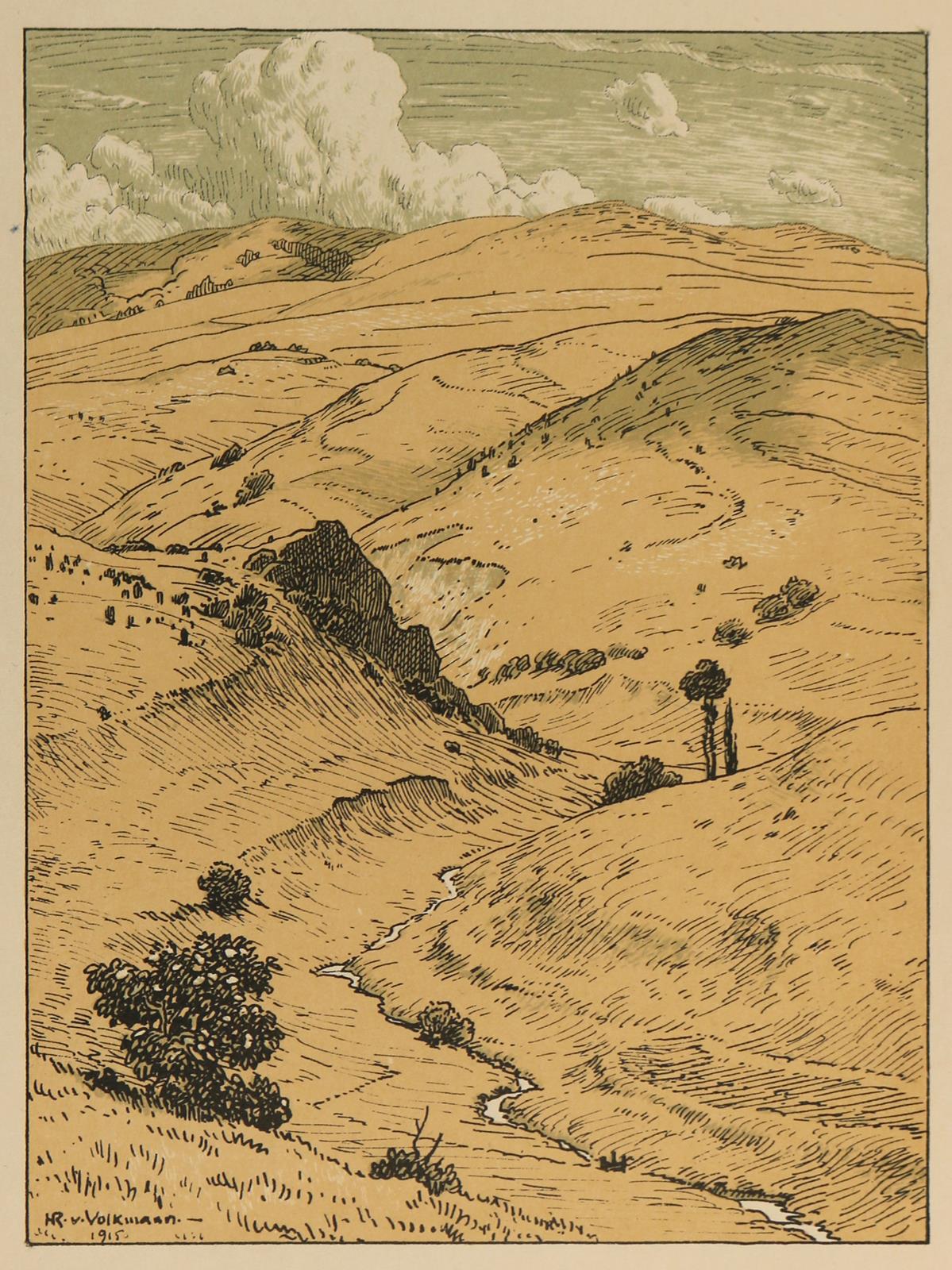 Volkmann, Hans Richard von | Bild Nr.2