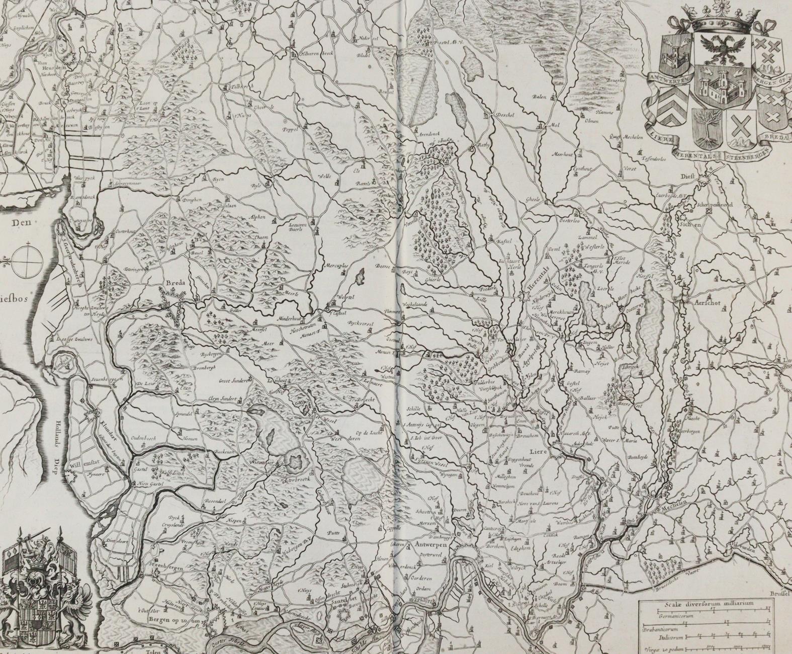 Le Roy,J. | Bild Nr.4