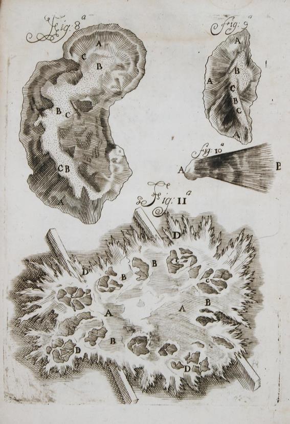 Bellini,L. | Bild Nr.1