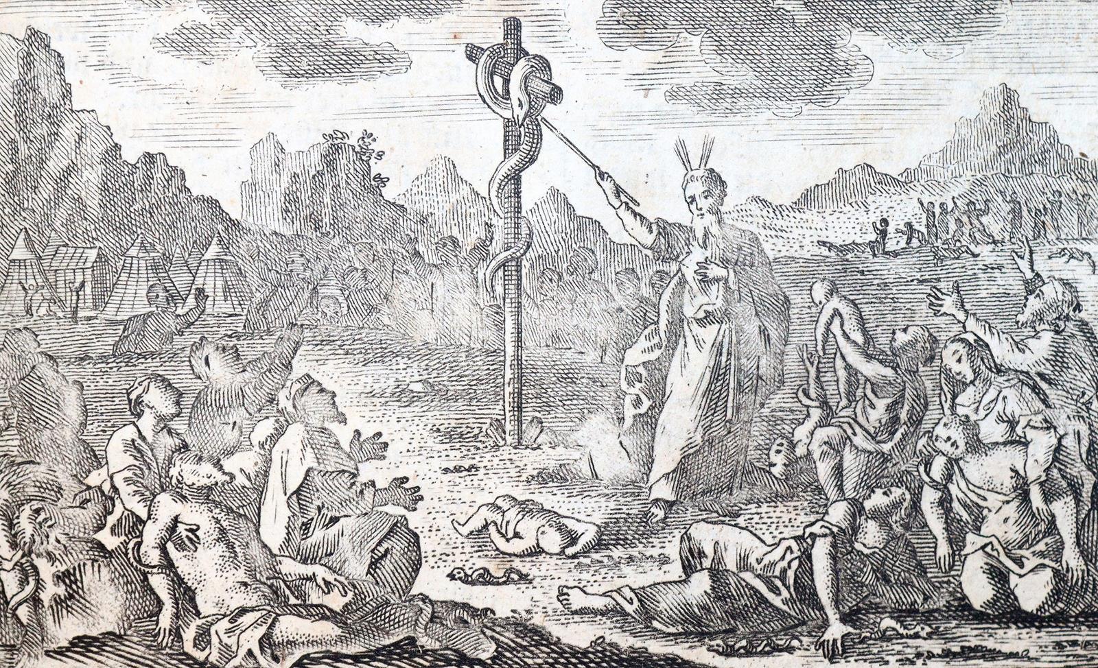 Biblia germanica. | Bild Nr.4